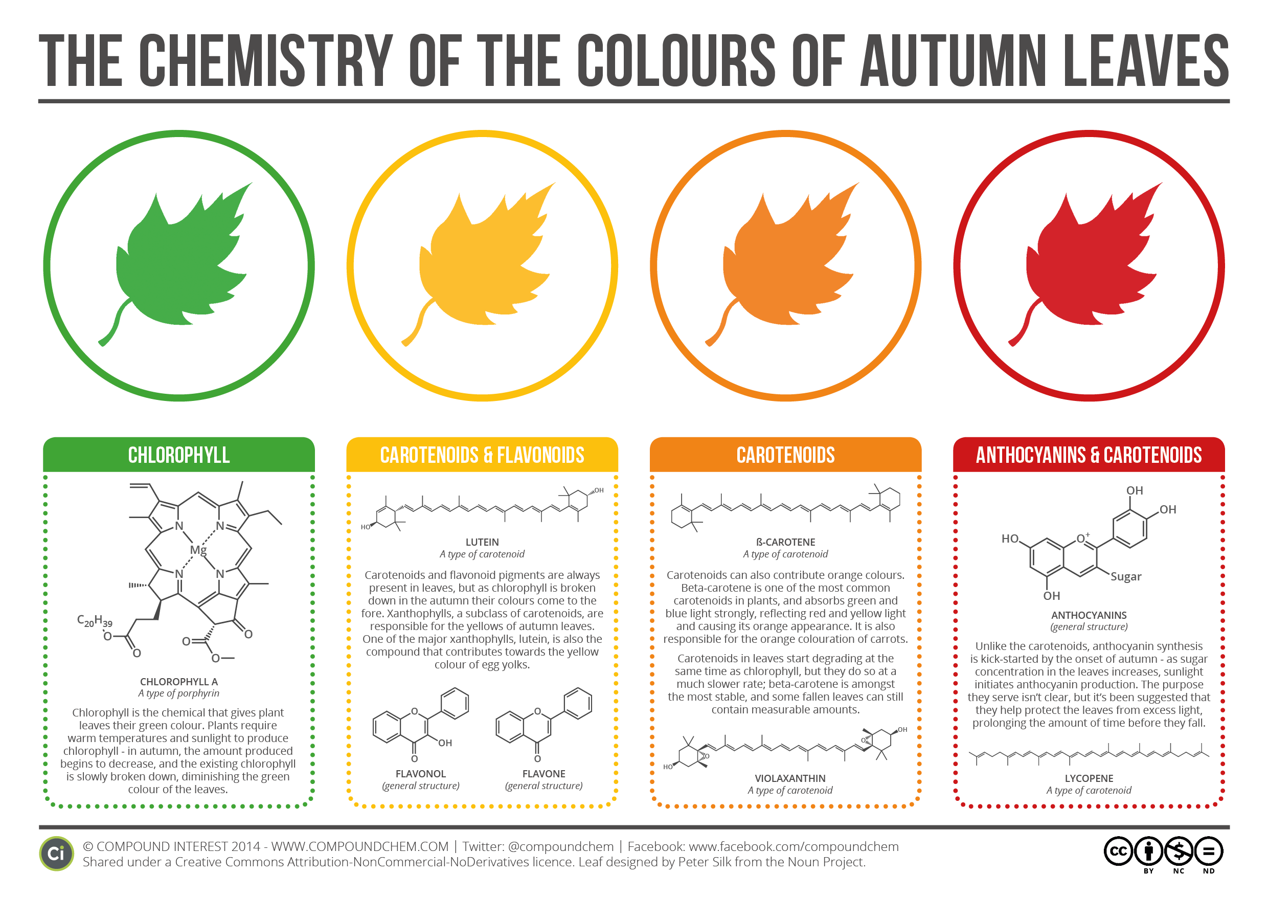Fichier:Chemistry-of-the-Colours-of-Autumn-Leaves-v2.png