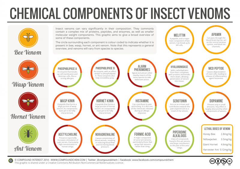 Fichier:Chemical-Composition-of-Insect-Venoms.png